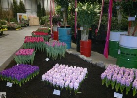 HFF 2011 overview (13)