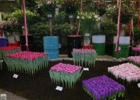 HFF 2011 overview (14)