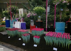 HFF 2011 overview (15)