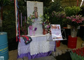 HFF 2011 overview (17)