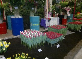 HFF 2011 overview (18)