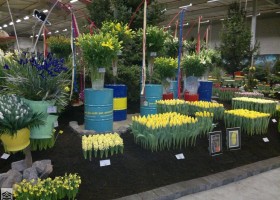 HFF 2011 overview (19)