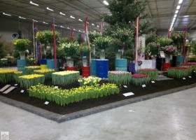 HFF 2011 overview (2)