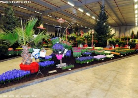 HFF 2011 overview (20)