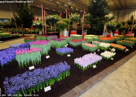 HFF 2011 overview (21)