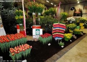 HFF 2011 overview (22)