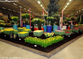 HFF 2011 overview (24)