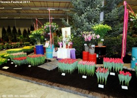 HFF 2011 overview (25)