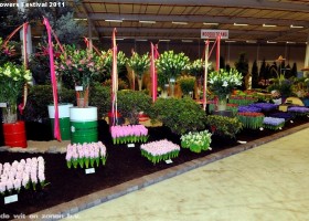 HFF 2011 overview (27)