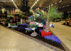 HFF 2011 overview (28)