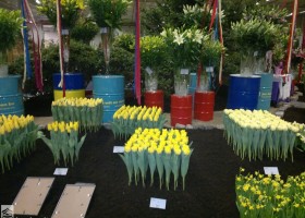 HFF 2011 overview (29)