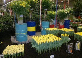 HFF 2011 overview (3)