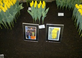 HFF 2011 overview (31)