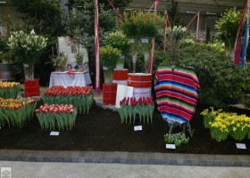 HFF 2011 overview (5)