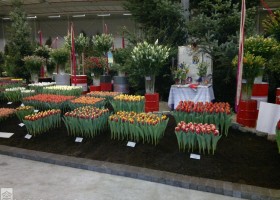 HFF 2011 overview (6)