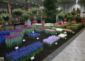 HFF 2011 overview (8)