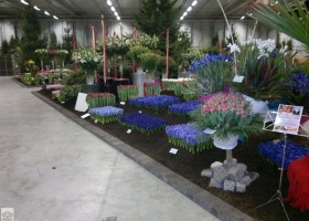 HFF 2011 overview (9)