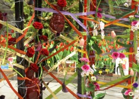 HFF overview 2011-13