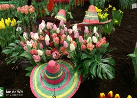 HFF overview 2011-14