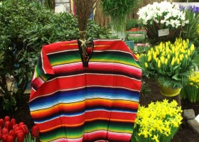 HFF overview 2011-15