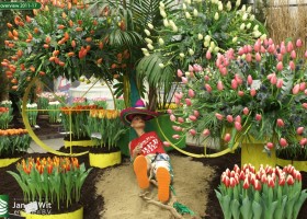 HFF overview 2011-17