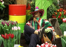 HFF overview 2011-18