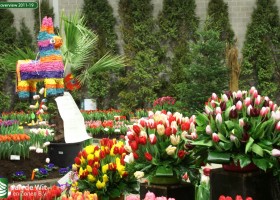 HFF overview 2011-19