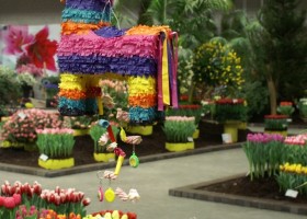 HFF overview 2011-20