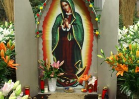 HFF overview 2011-21