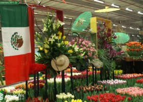 HFF overview 2011-23