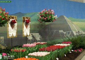 HFF overview 2011-24