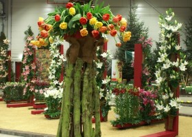 HFF overview 2011-25