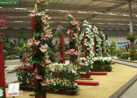 HFF overview 2011-28