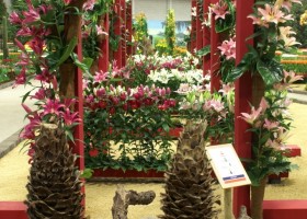 HFF overview 2011-29