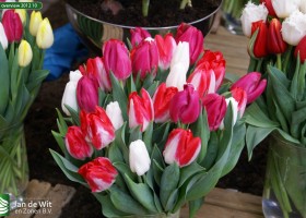 HFF overview 2012 10