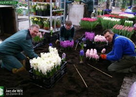 Making of HFF 2012 2