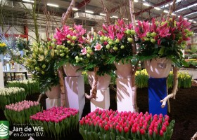 Holland Food & Flowers 2013 stand Jan de Wit en Zonen B.V.