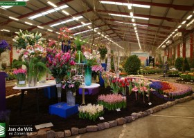 HFF 2013 overview 61