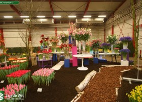 HFF 2013 overview 63