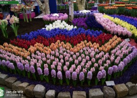 Holland Food & Flowers 2013