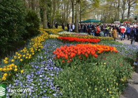 Keukenhof 2016 (10)