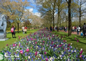 Keukenhof 2016 (12)