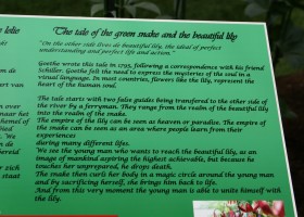 76 Tale green snake&lily