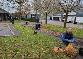 First bulbs planted at our new location at Keukenhof