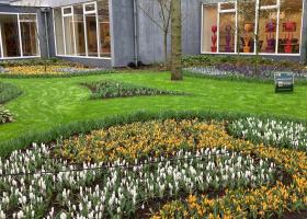 Keukenhof is open!