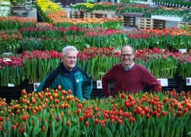 Nieuwsartikelen over de livestreams