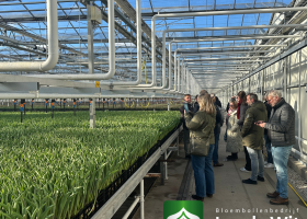 Jan de Wit en Zonen visits Akerboom and Mopabloem