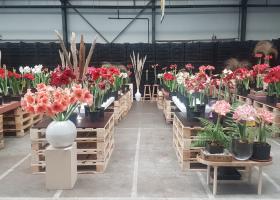 Онлайн трансляции 3 и 10 апреля