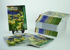 New picture books available