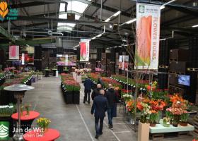 A very successful Tulip Trade Event